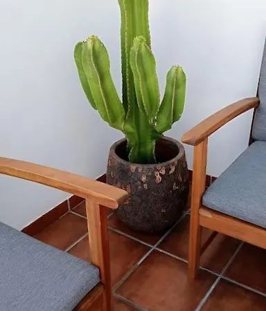 Famarabeach2 * Famara